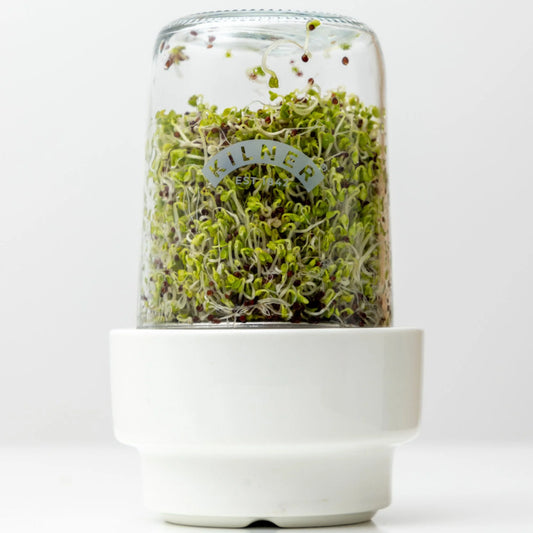 Kilner Glass Sprouting Set