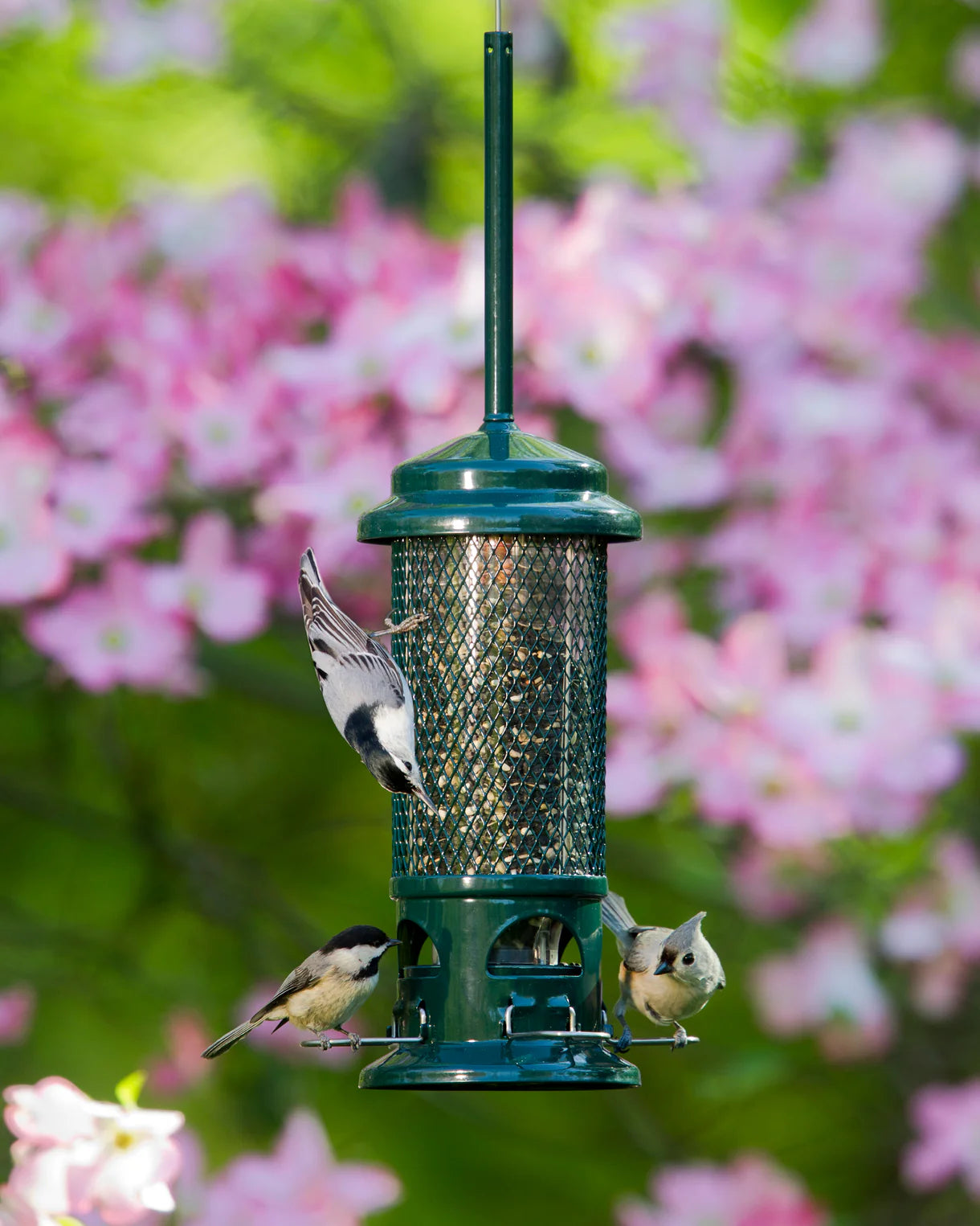 Brome Squirrel Buster® Standard Bird Feeder