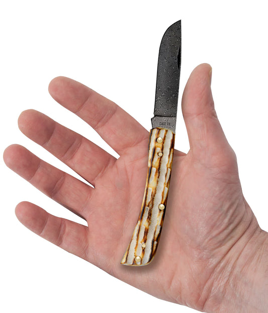 Case Deep Canyon Jigged Burnt Natural Bone Sod Buster® Jr Raindrop Damascus