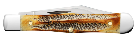 Case Swell Center Jack 65326 6.5 BoneStag Stainless Pocket Knife