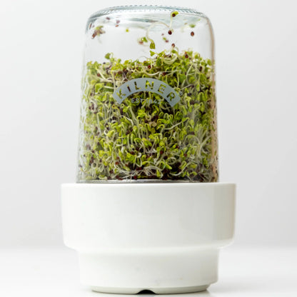 Kilner Glass Sprouting Set