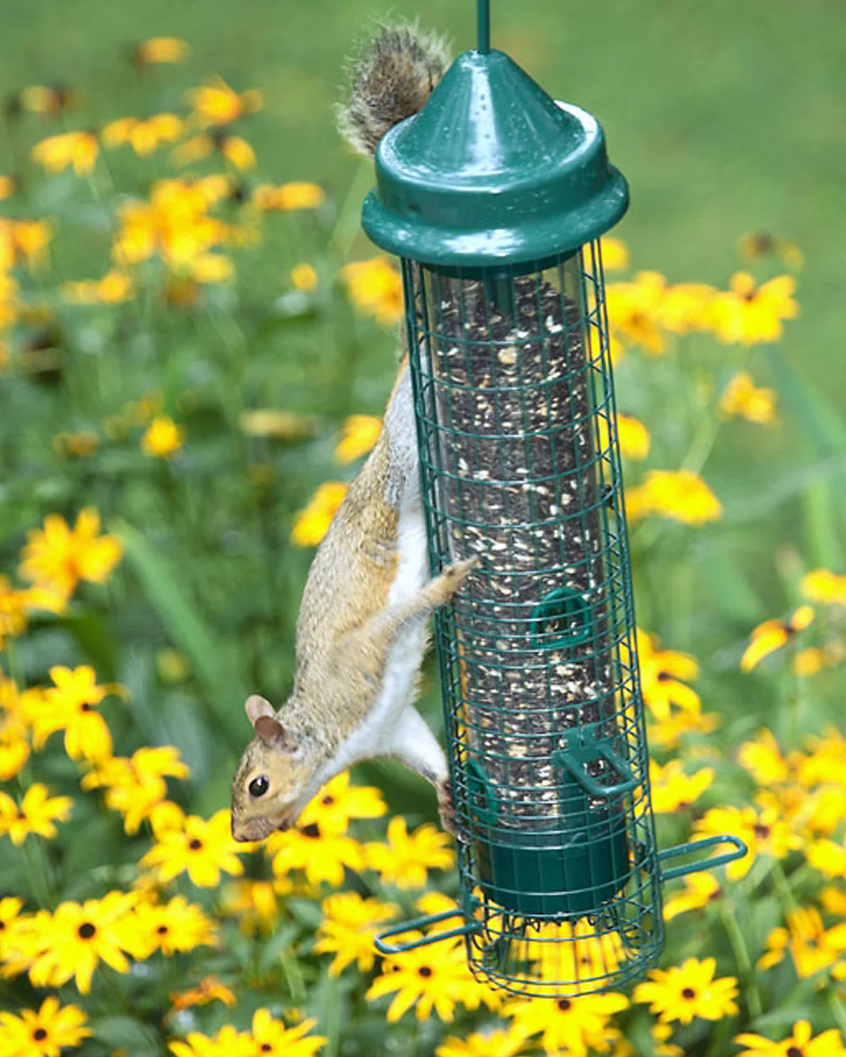Brome Squirrel Buster® Classic Bird Feeder