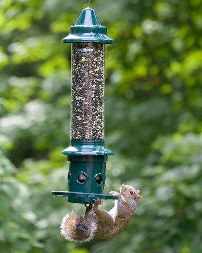 Brome Squirrel Buster® Plus Bird Feeder