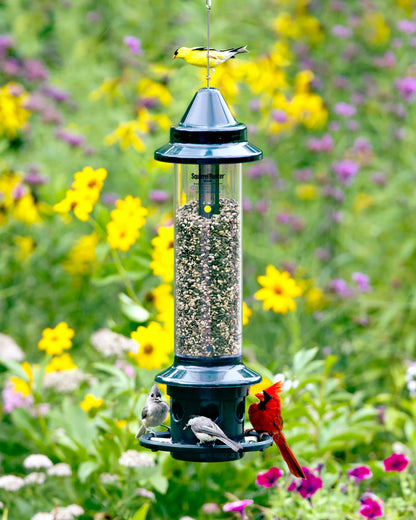 Brome Squirrel Buster® Plus Bird Feeder