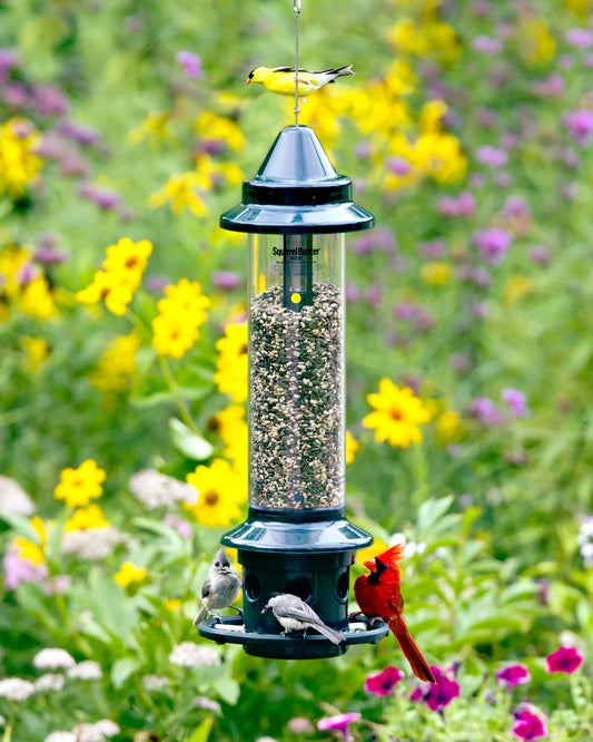 Brome Squirrel Buster® Plus Bird Feeder