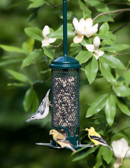 Brome Squirrel Buster® Mini Bird Feeder