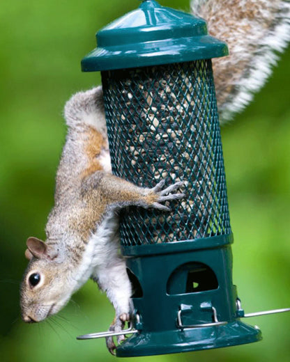 Brome Squirrel Buster® Standard Bird Feeder