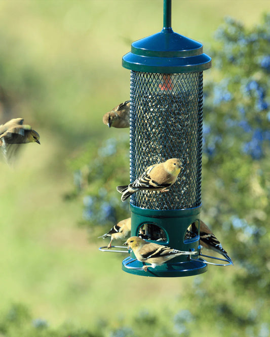 Brome Squirrel Buster® Legacy Bird Feeder