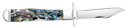 Case Smooth Abalone Cheetah® Cub