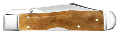 Case Knives Smooth Antique Bone Cheetah® Cub