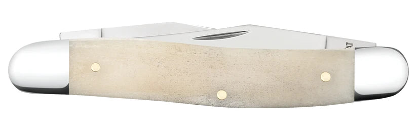Case Muskrat Smooth Natural Bone 14022 Pocket Knife