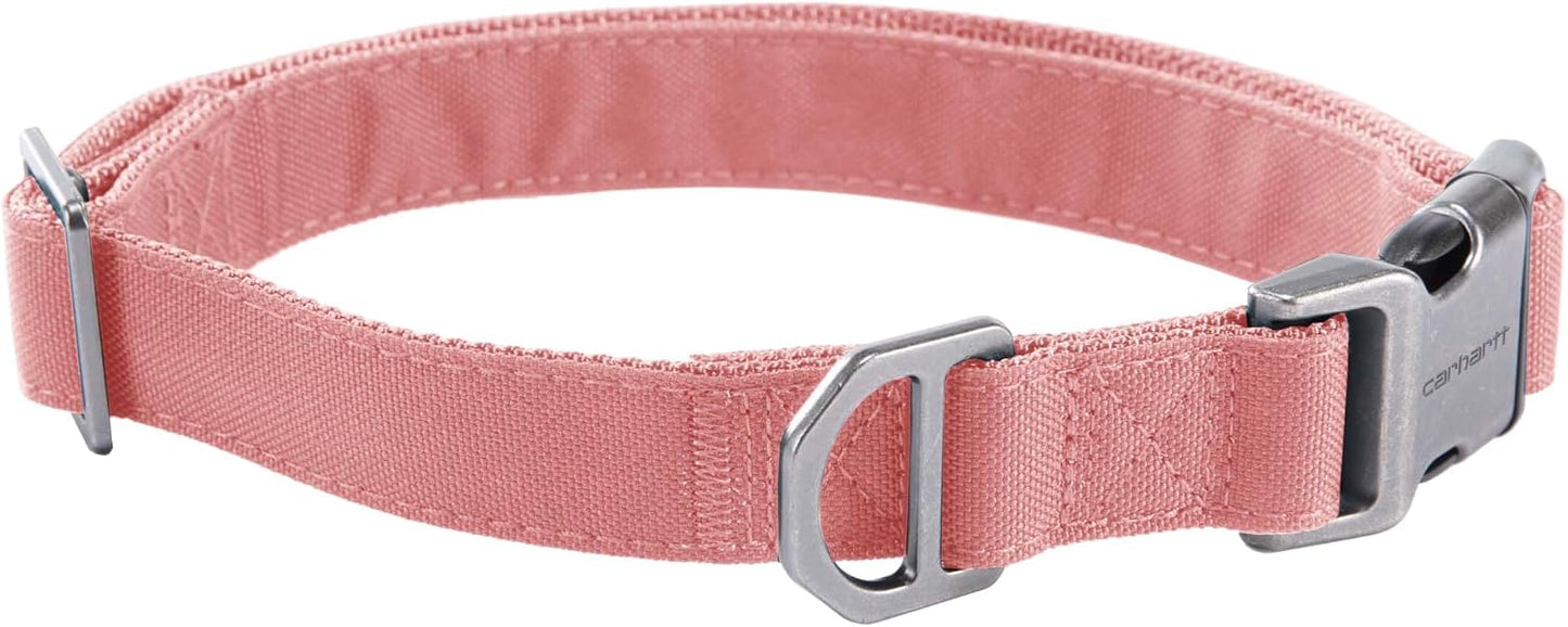 Carhartt Field Dog Collar