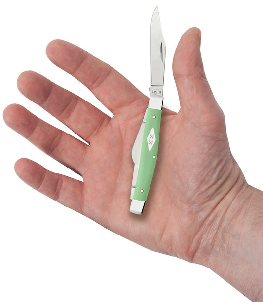 Cases Smooth Mint Green Synthetic Medium Stockman