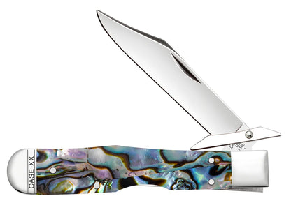 Case Smooth Abalone Cheetah® Cub