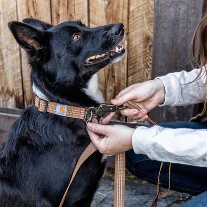 Carhartt Dual Handle Dog Leash