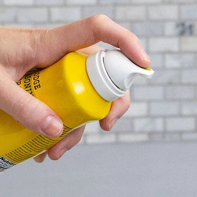 Lodge Cast Iron Lodge Seasoning Spray Oil