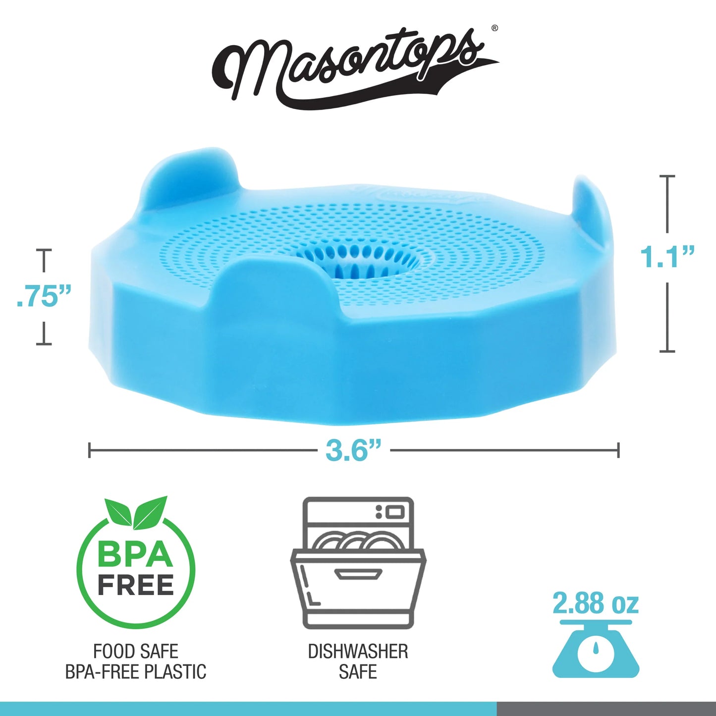 Masontops Bean Screen Sprouting Lids