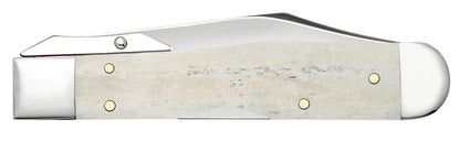 Case Smooth Natural Bone Cheetah® Cub Pocket Knife