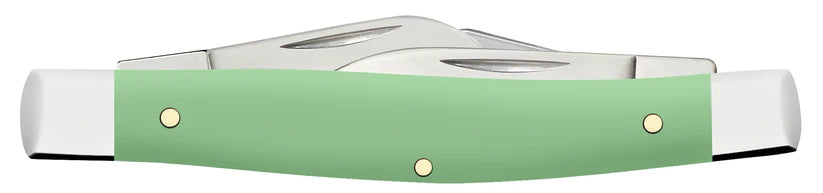 Cases Smooth Mint Green Synthetic Medium Stockman