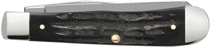 Case Jigged Buffalo Horn Trapper