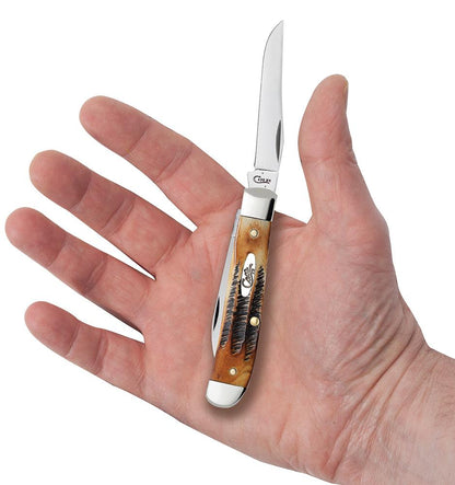 Case Knives 6.5 BoneStag® Mini Trapper