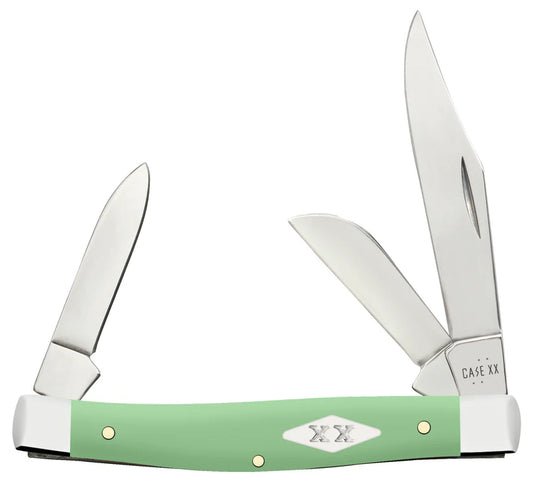 Cases Smooth Mint Green Synthetic Medium Stockman