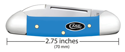 Case Smooth Light Blue Synthetic Baby Butterbean