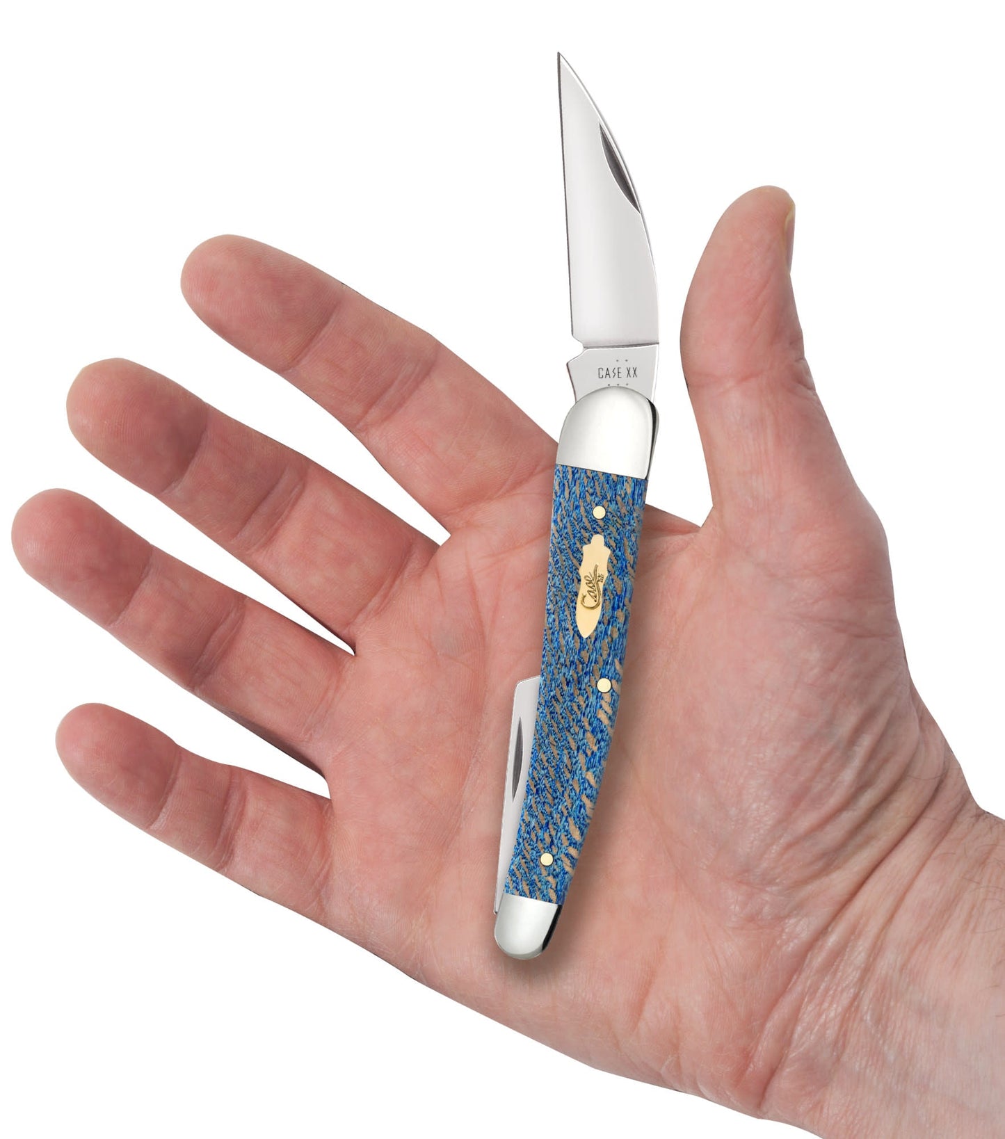 Case Smooth Blue Sycamore Wood Seahorse Whittler