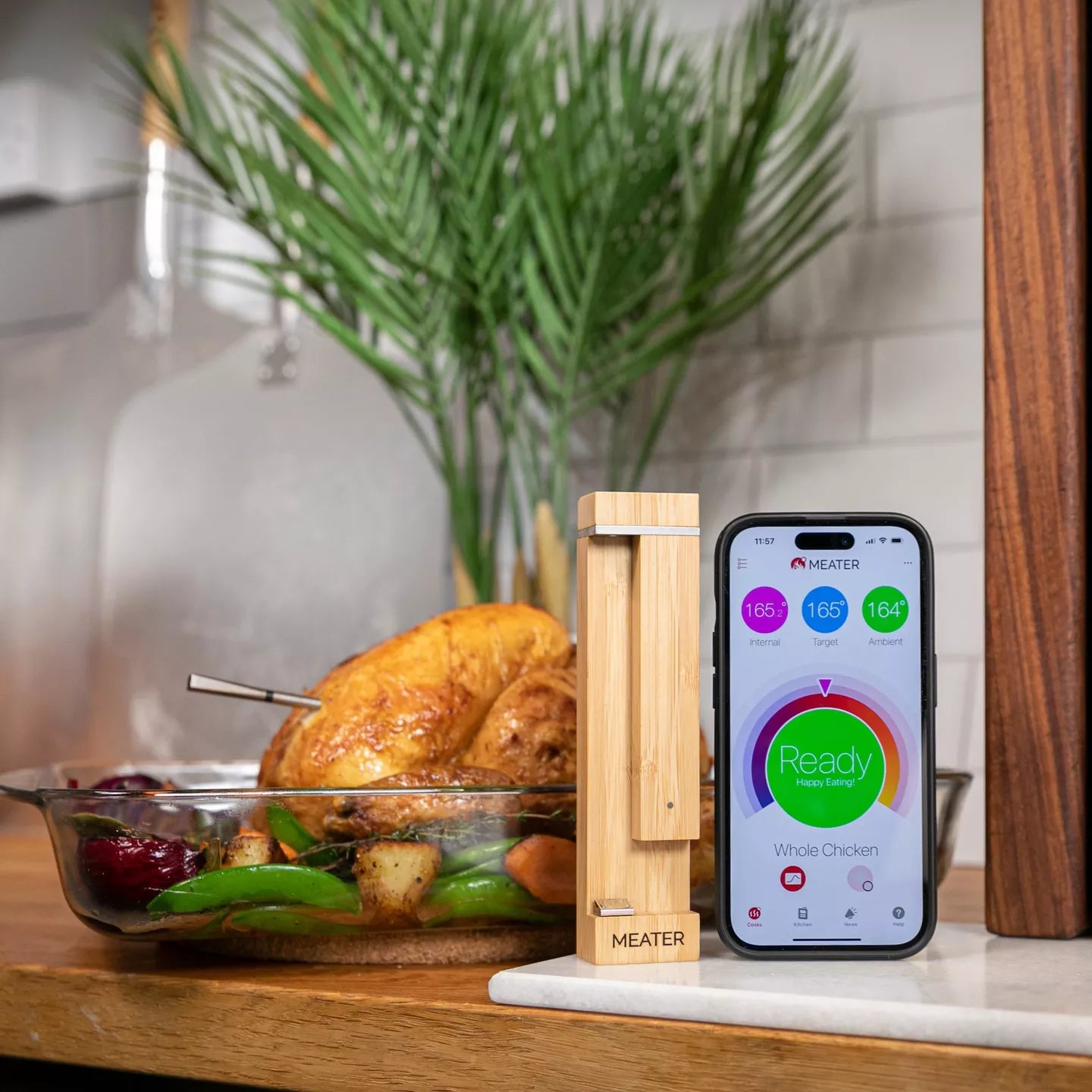 Traeger Meater Pro Wireless Meat Thermometer