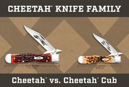 Case Knives Smooth Antique Bone Cheetah® Cub