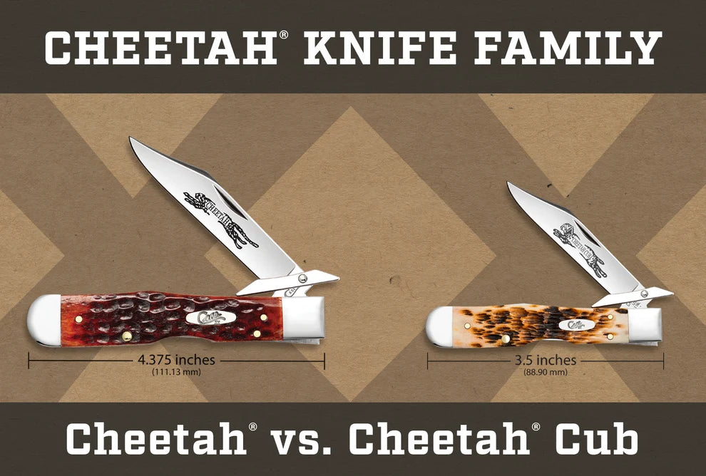 Case Smooth Natural Bone Cheetah® Cub Pocket Knife