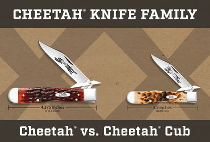 Case Smooth Natural Bone Cheetah® Cub Pocket Knife