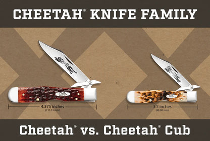 Case Gator Jigged Bright Green Bone Cheetah® Cub Pocket Knife 11446
