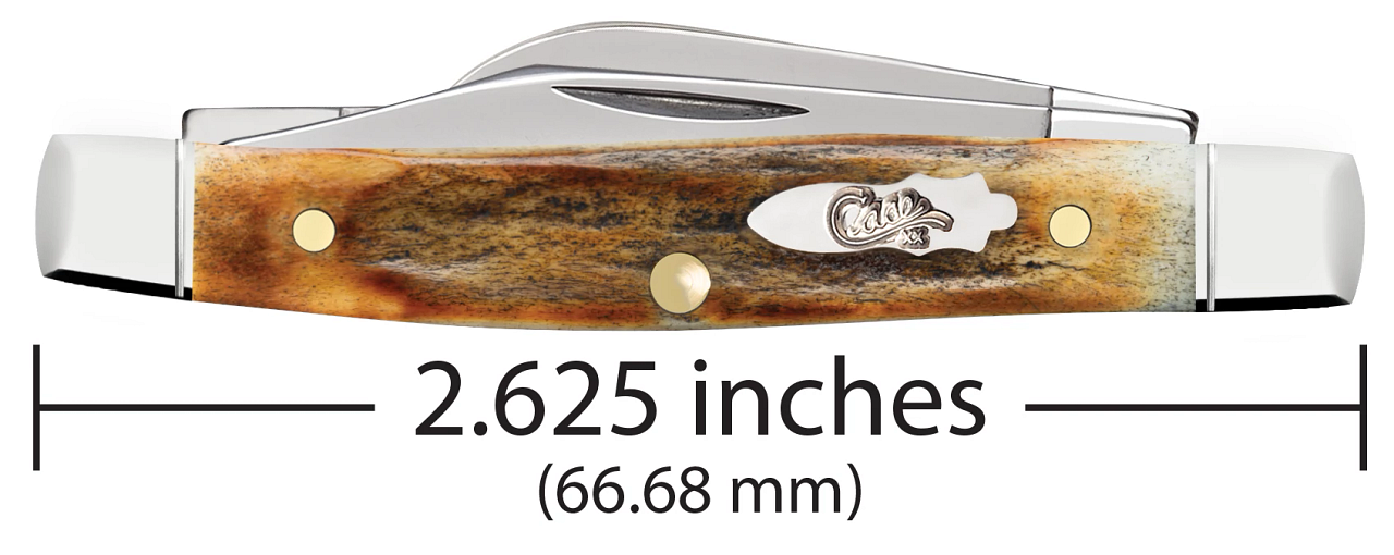 Case Shot Show Small Stockman 10759 Burnt Stag Stainless Pocket Knife