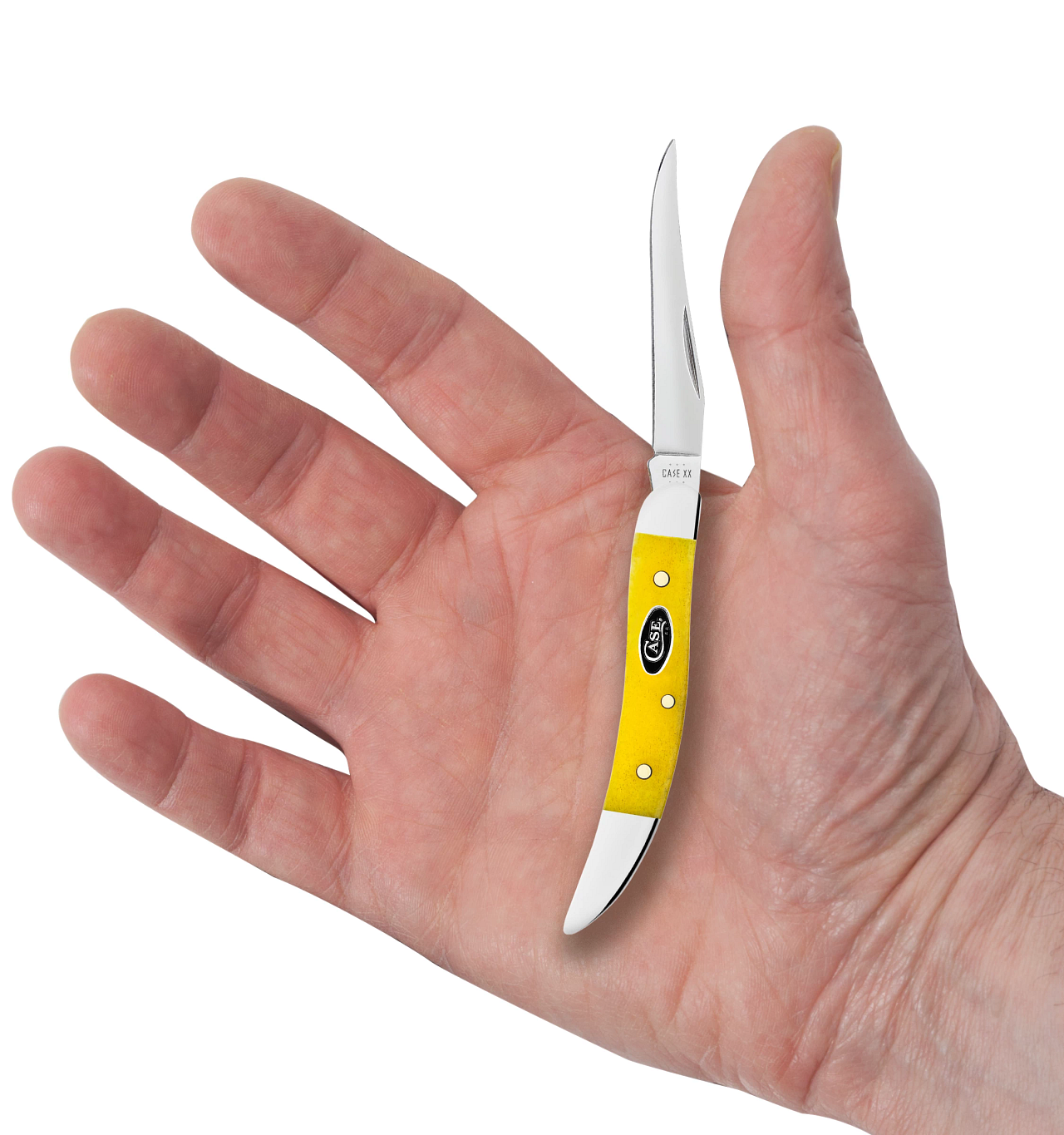 Case Small Texas Toothpick Yellow Bone