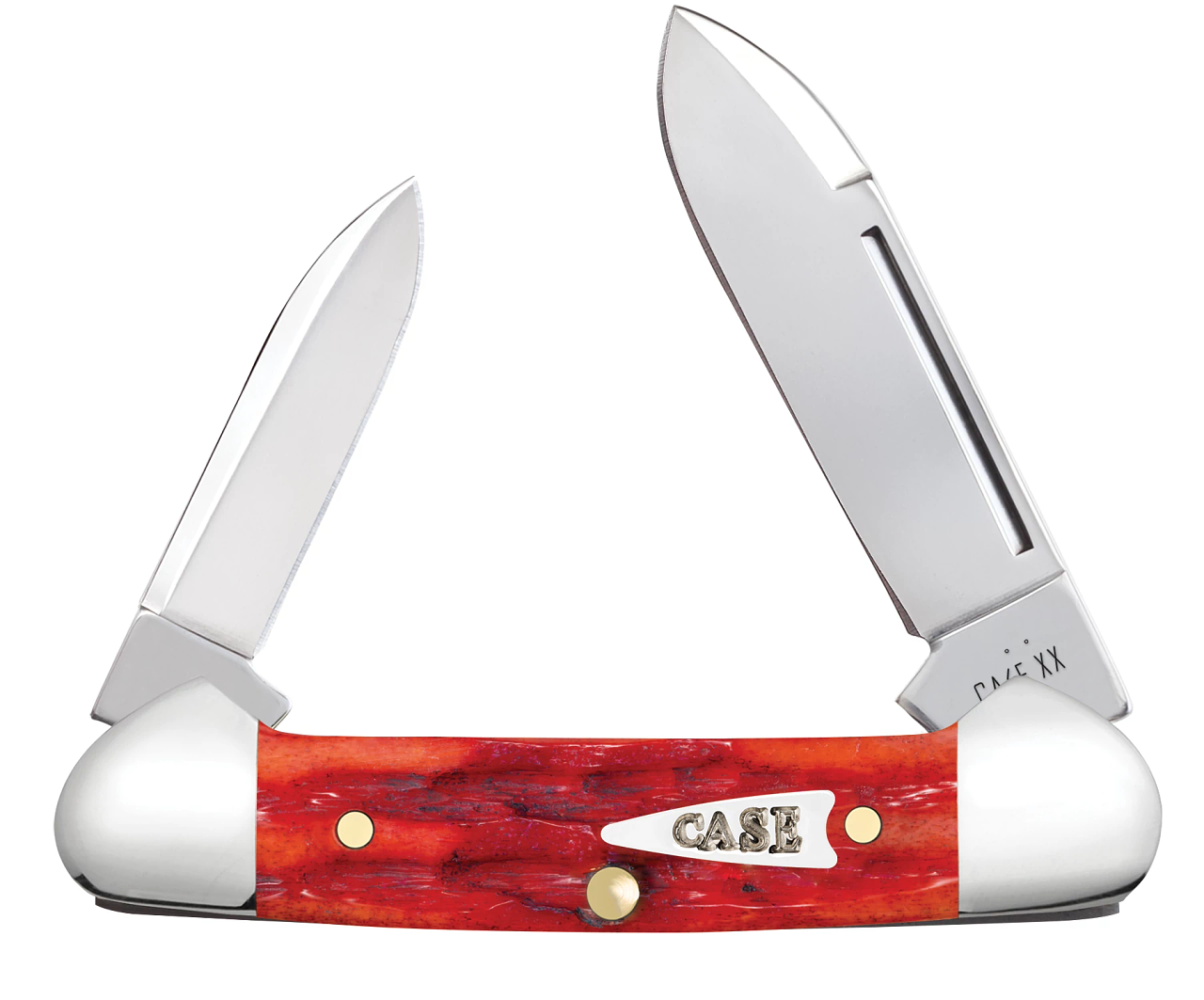 Case Butterbean Indian Paint Brush Bone 42322 Stainless Pocket Knife